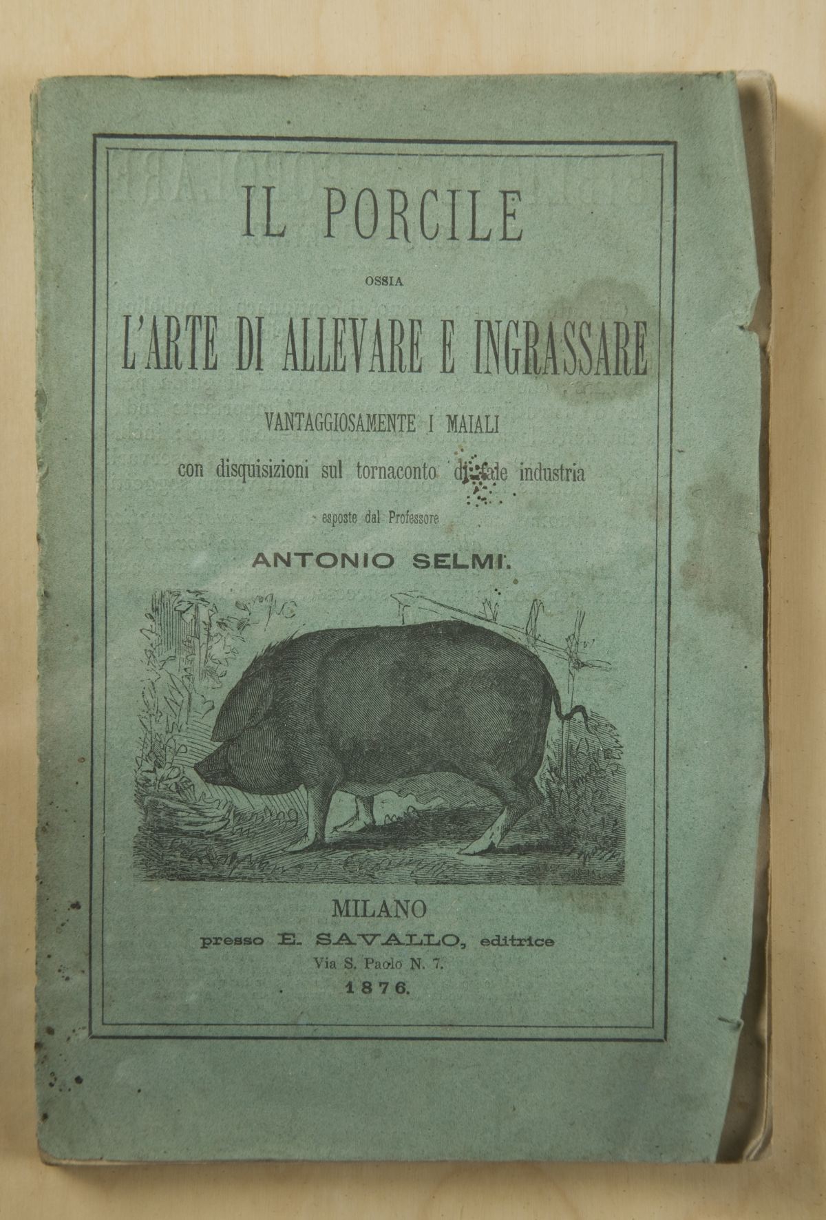 Il Porcile 1876